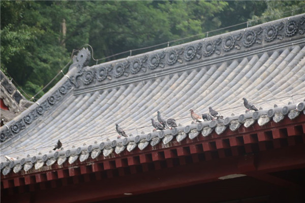 今泰裝飾出游記 | 我們有一千種姿勢(shì)玩出精彩！(圖4)