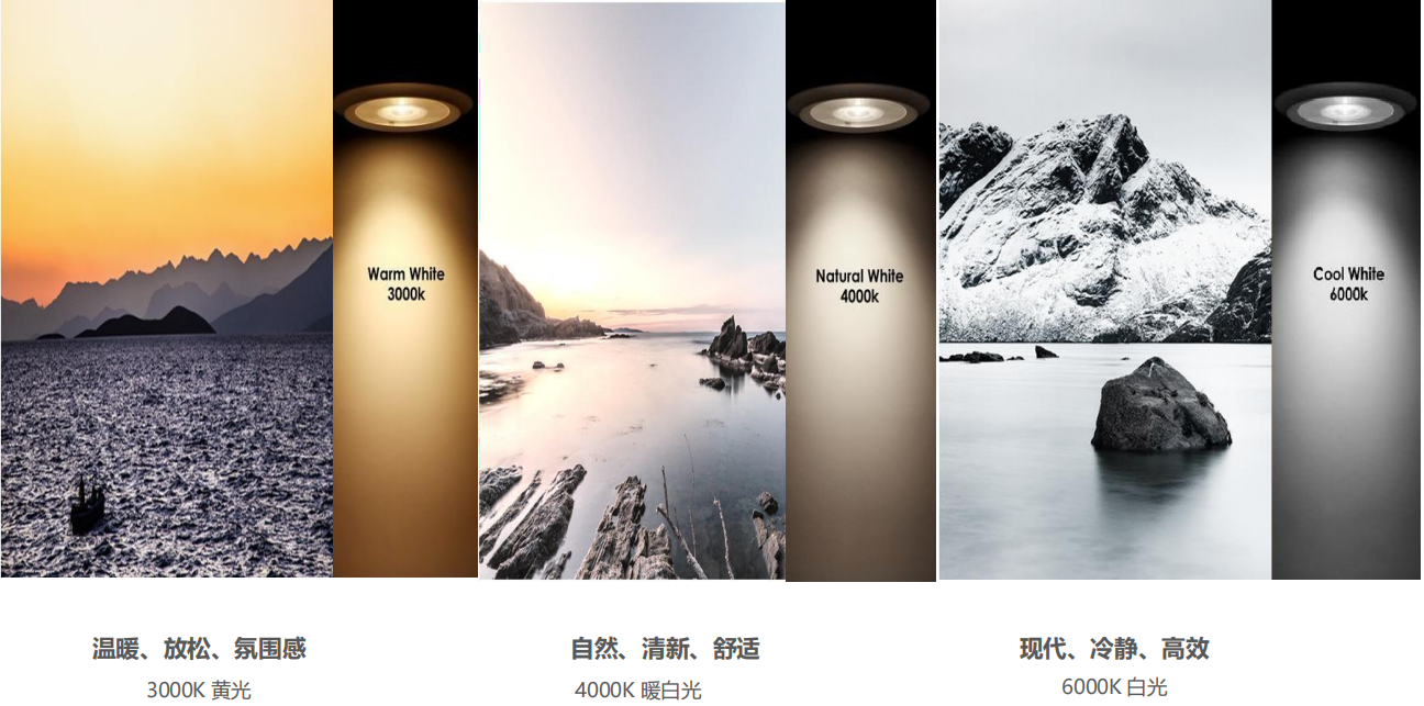 【設(shè)計(jì)案例】普照國(guó)康醫(yī)藥辦公室項(xiàng)目概念設(shè)計(jì)——以空間敘事，筑品牌基因(圖26)