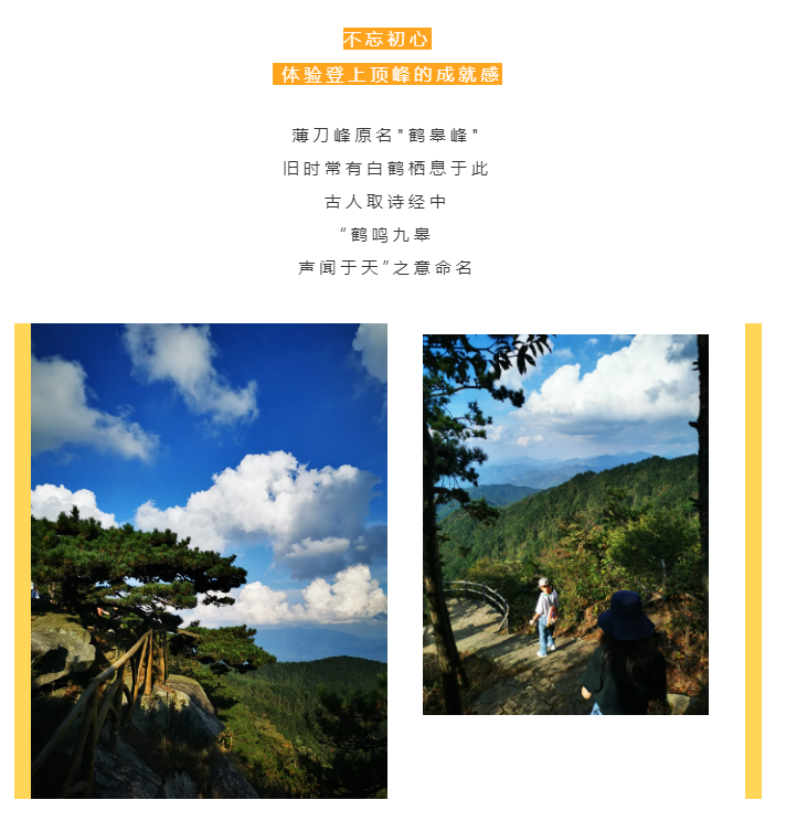 秋天了，來一場成年人的秋游吧(圖2)