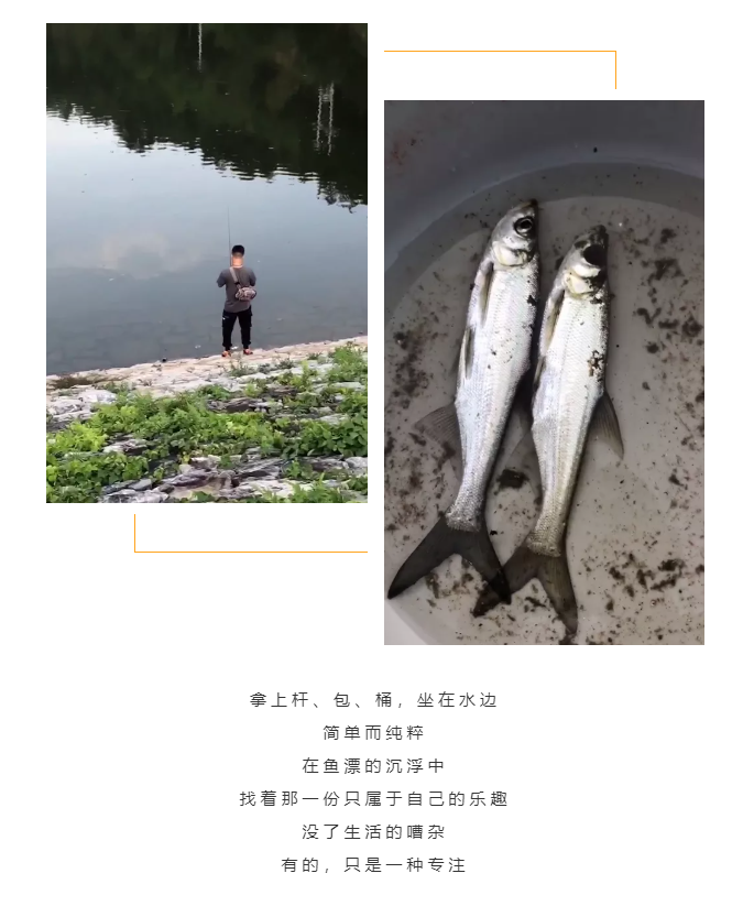 秋天了，來一場成年人的秋游吧(圖5)