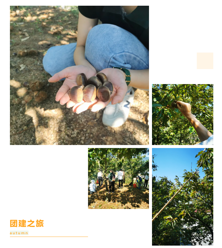 秋天了，來一場成年人的秋游吧(圖6)